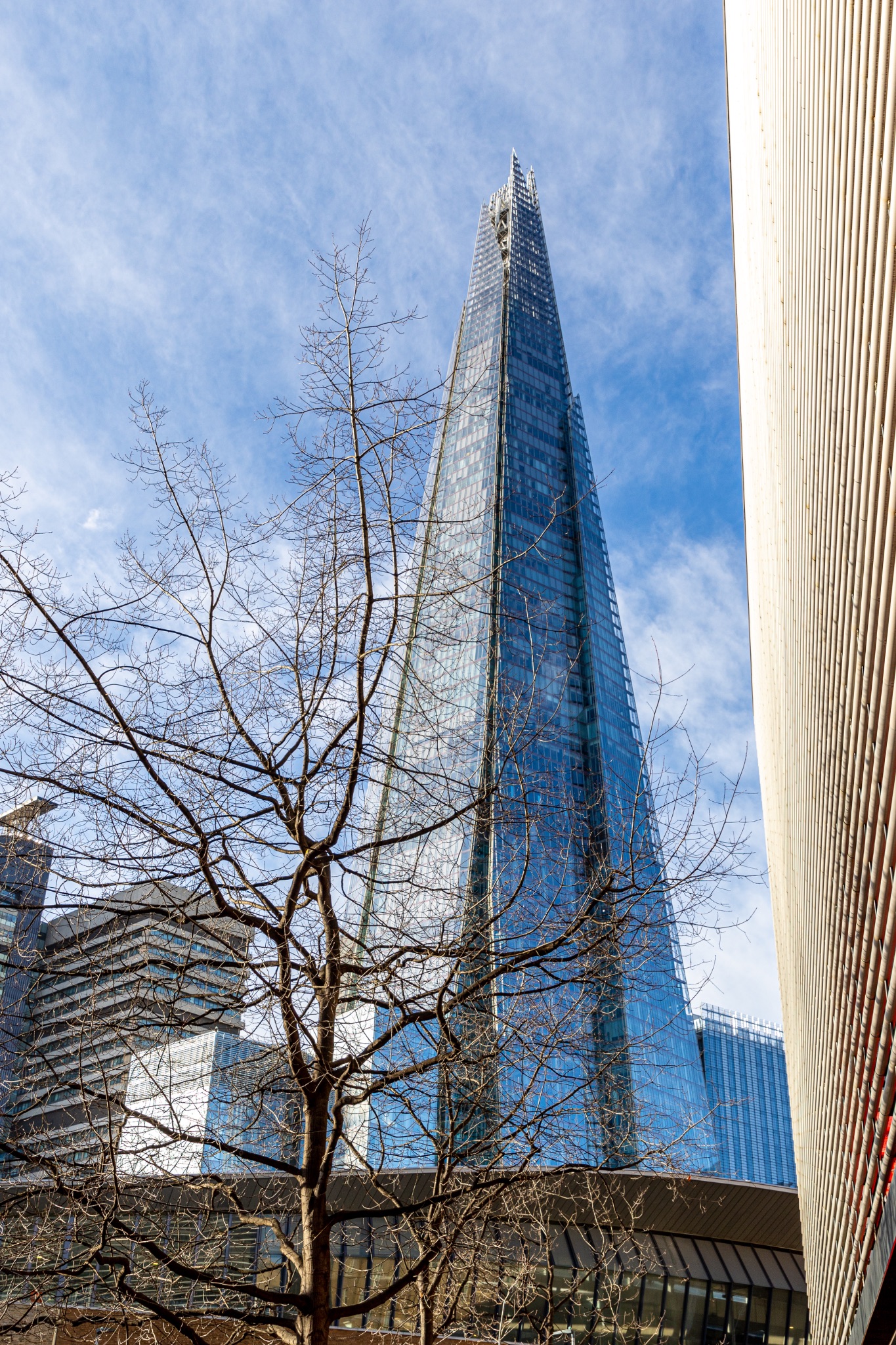 Modern skyscraper towering behind bare trees against a clear blue sky, showcasing architectural contrast and urban growth.