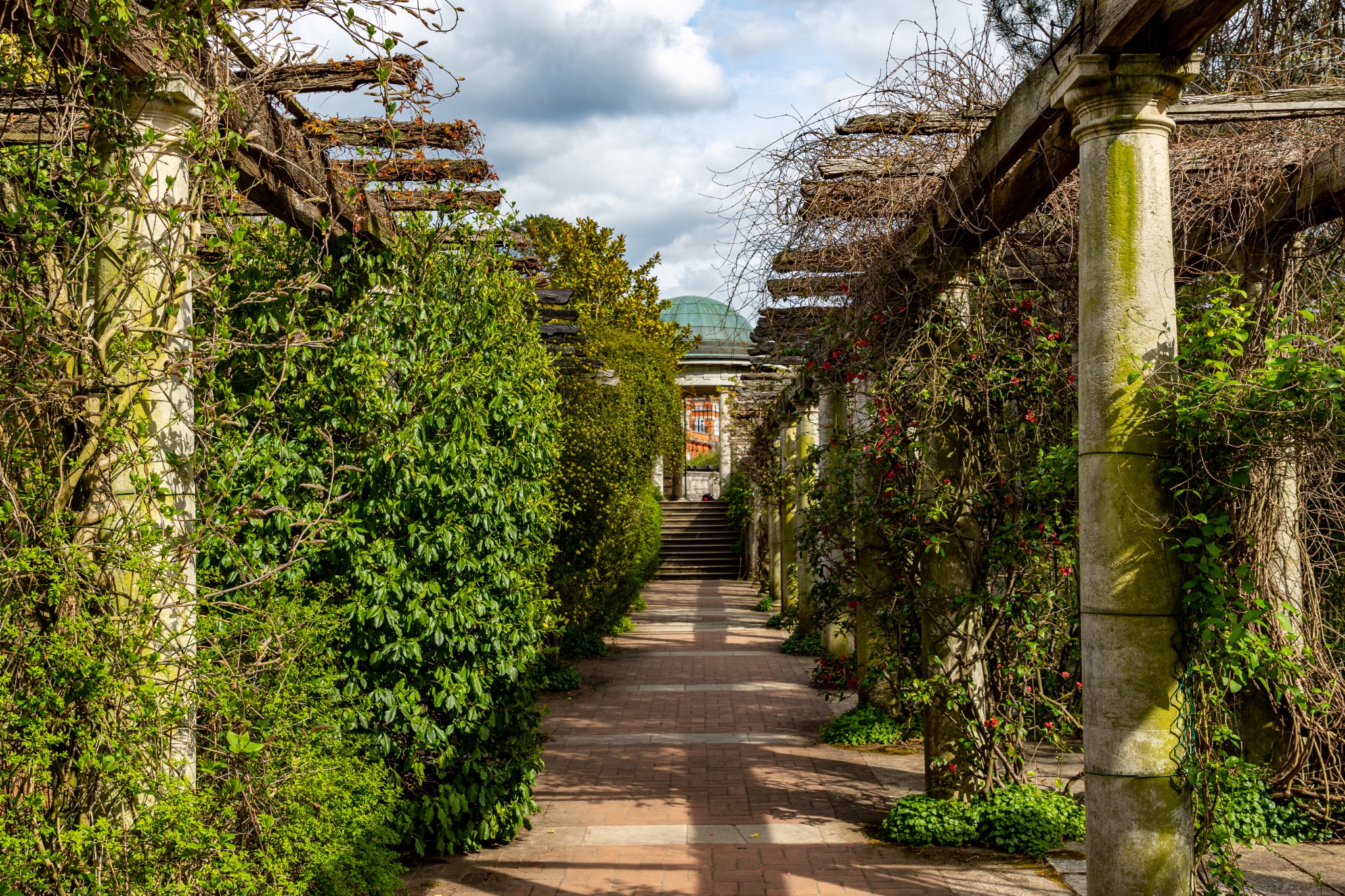 Pergola pathway in a serene garden with lush greenery and a clear sky, perfect for tranquil outdoor themes in The Hill Garden and Pergola in London.