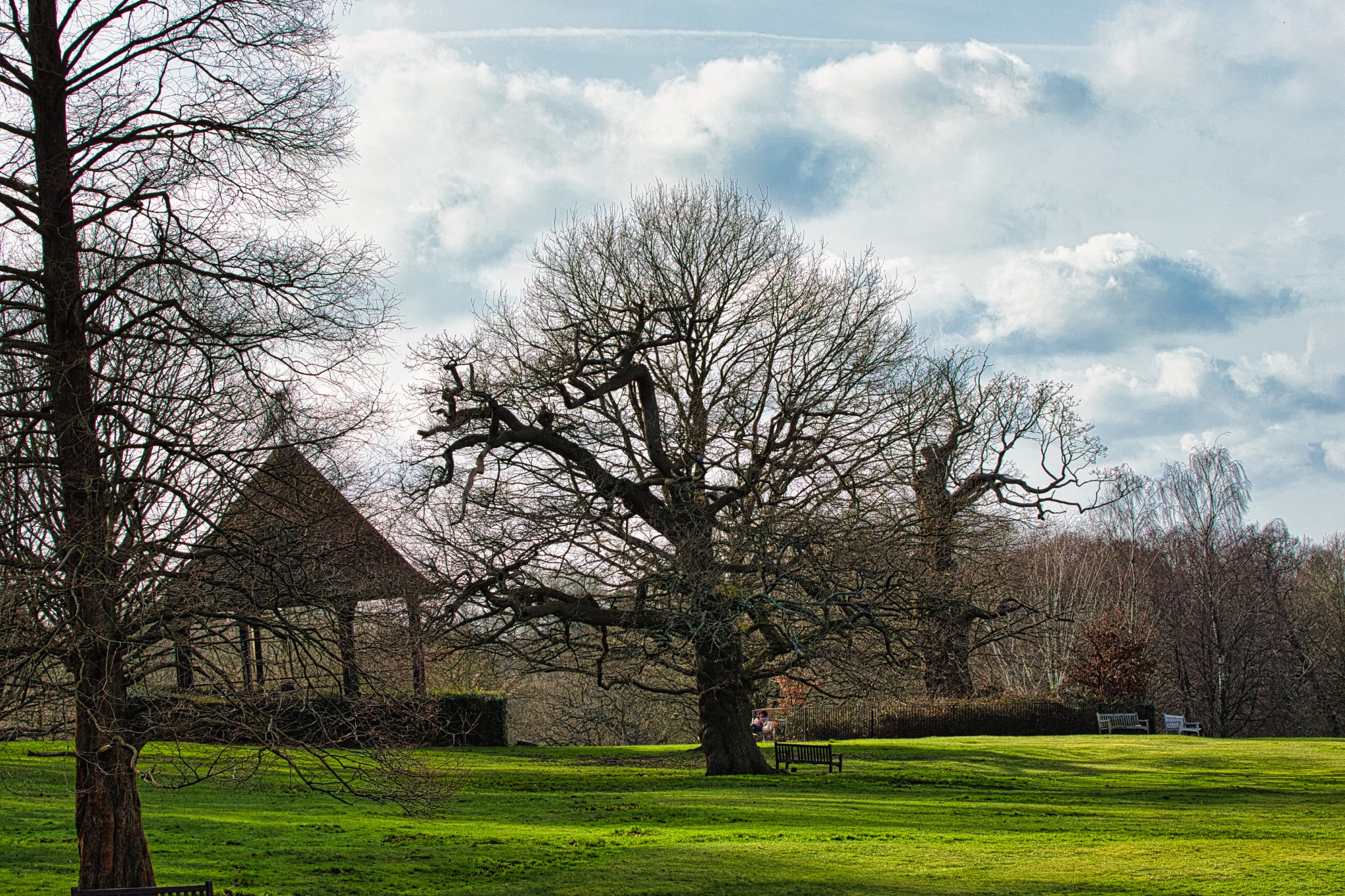 Scenic view of a leafless tree in a lush green field with a traditional thatched-roof cottage in the background under a cloudy sky.