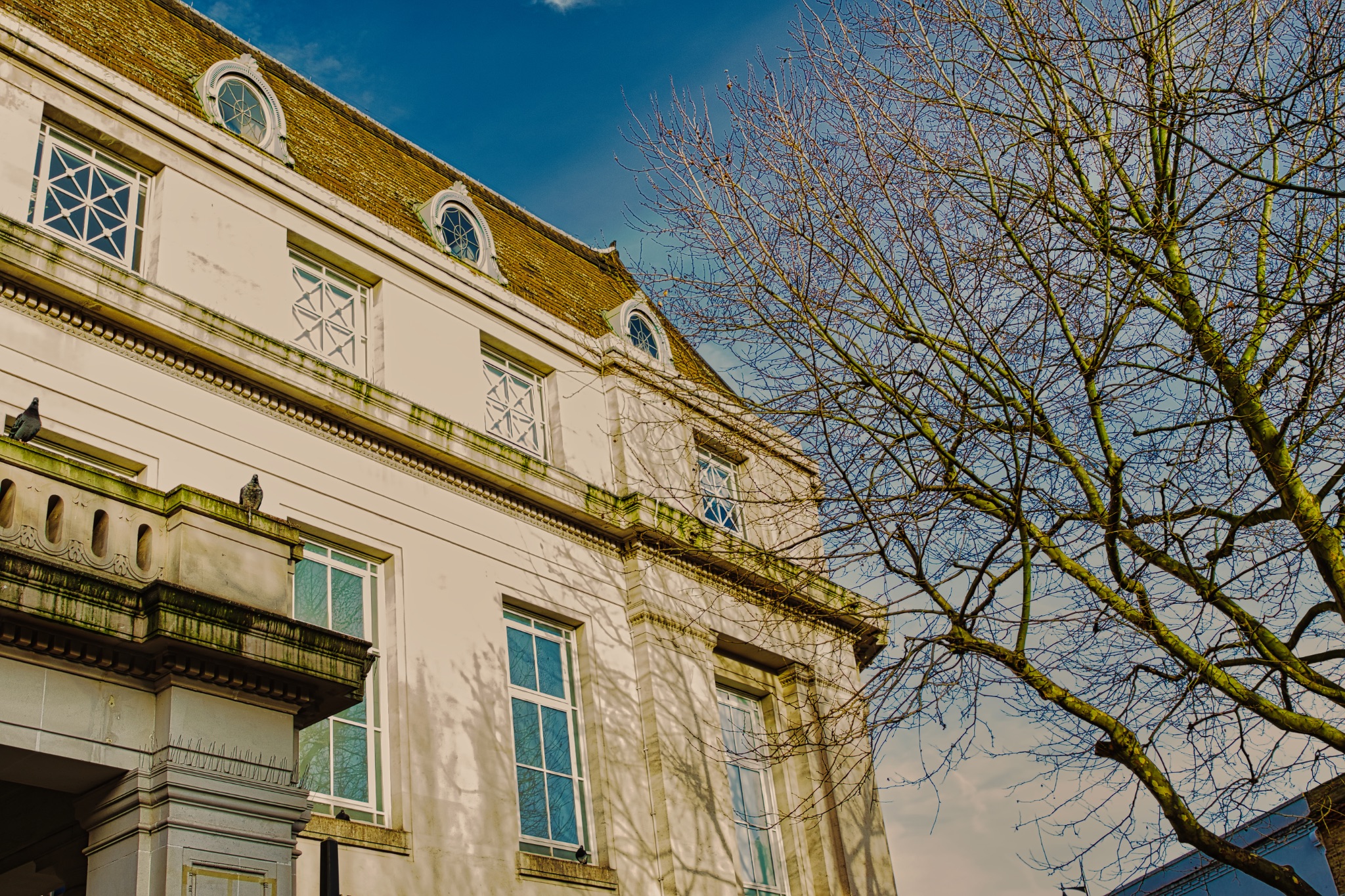 Elegant vintage building facade with blue windows under a clear sky, framed by tree branches.