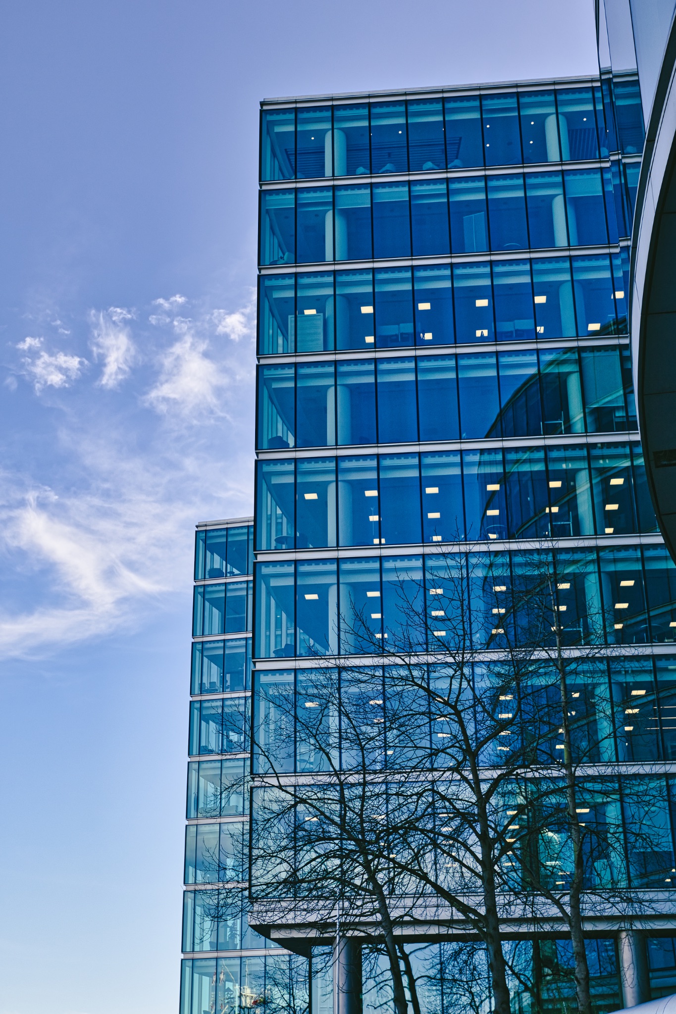 Modern Glass Office Building with Leafless Tree in London, UK.