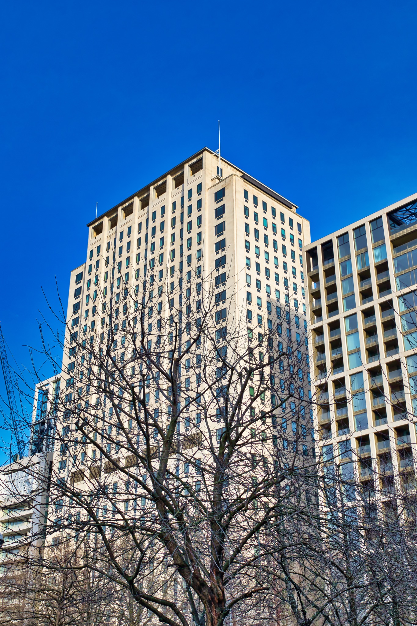Beige and Brown High-Rise Buildings with Winter Tree in London, UK.