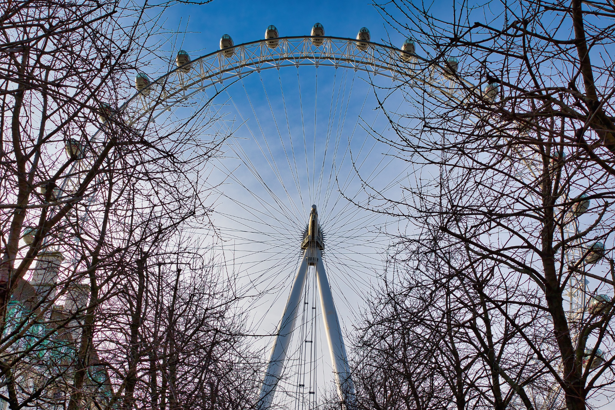 London Eye Ferris Wheel Viewed Through Bare Trees