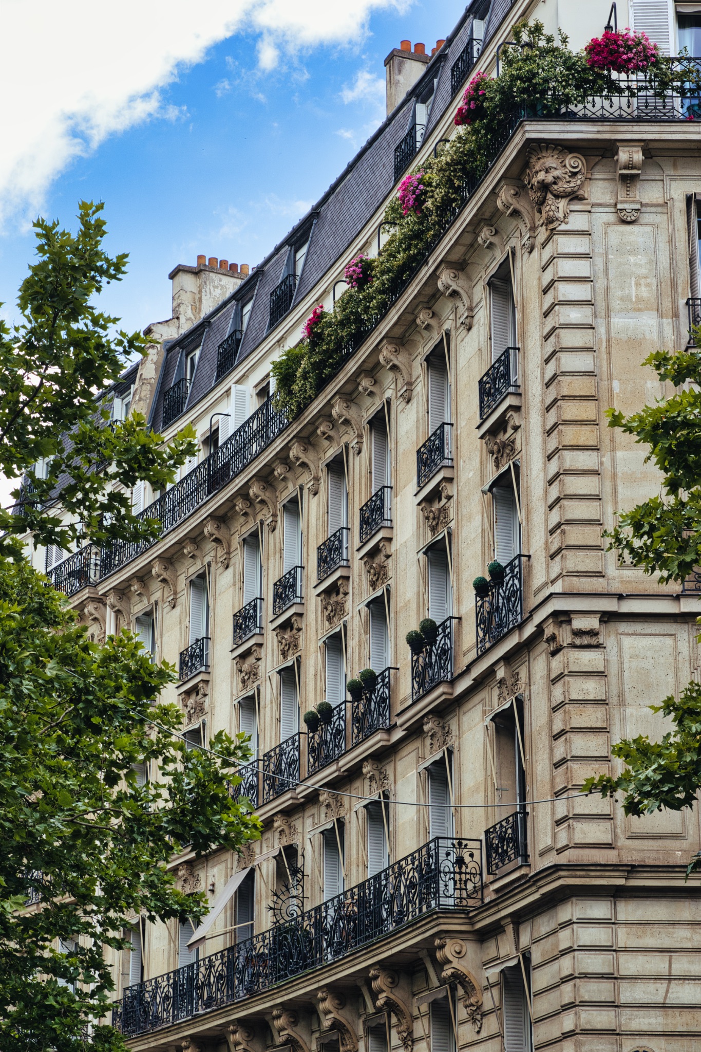 Paris Building Facade with Balconies and Shutters