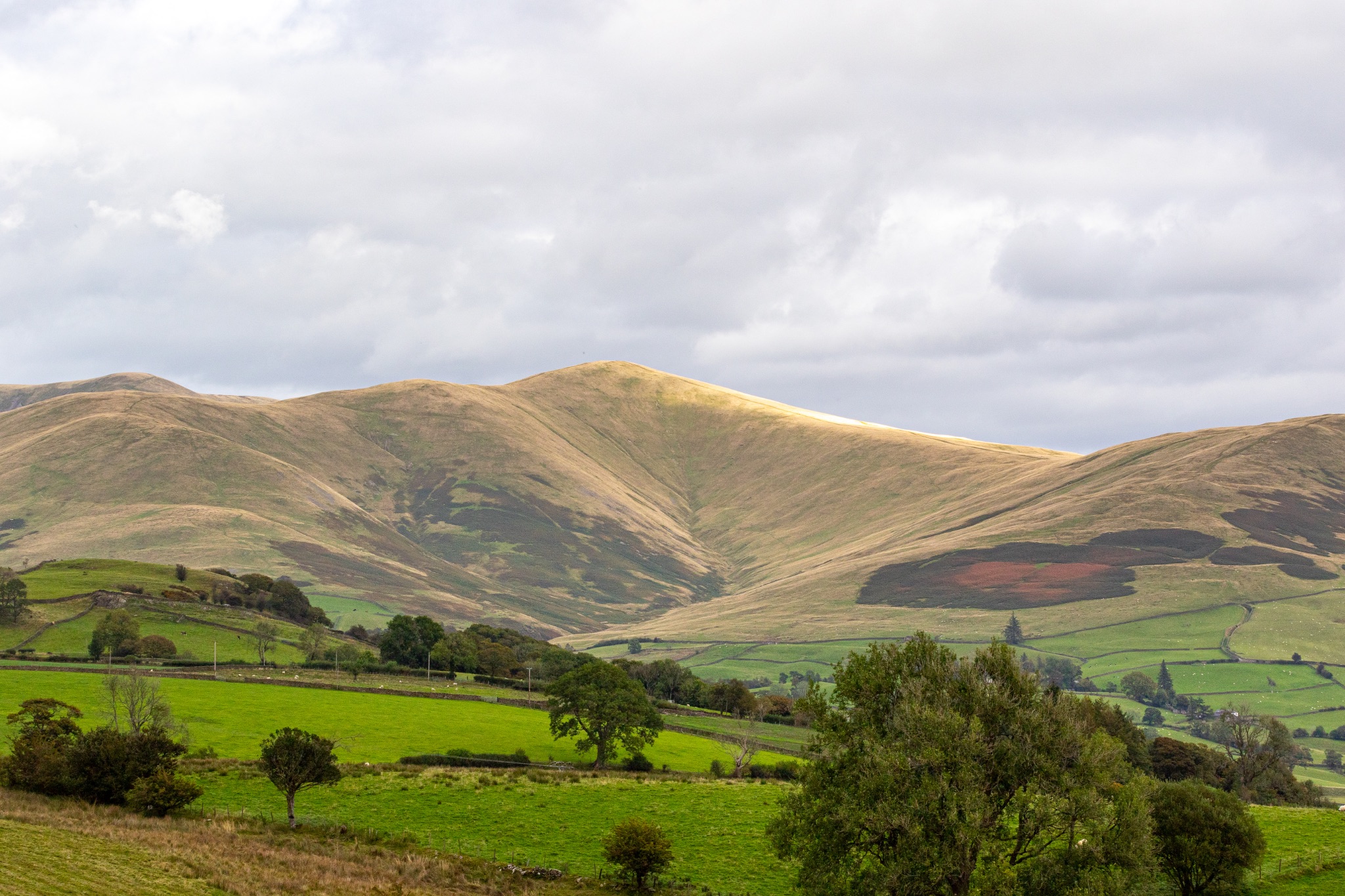 Rolling hills with green fields under a cloudy sky, depicting serene rural landscape.