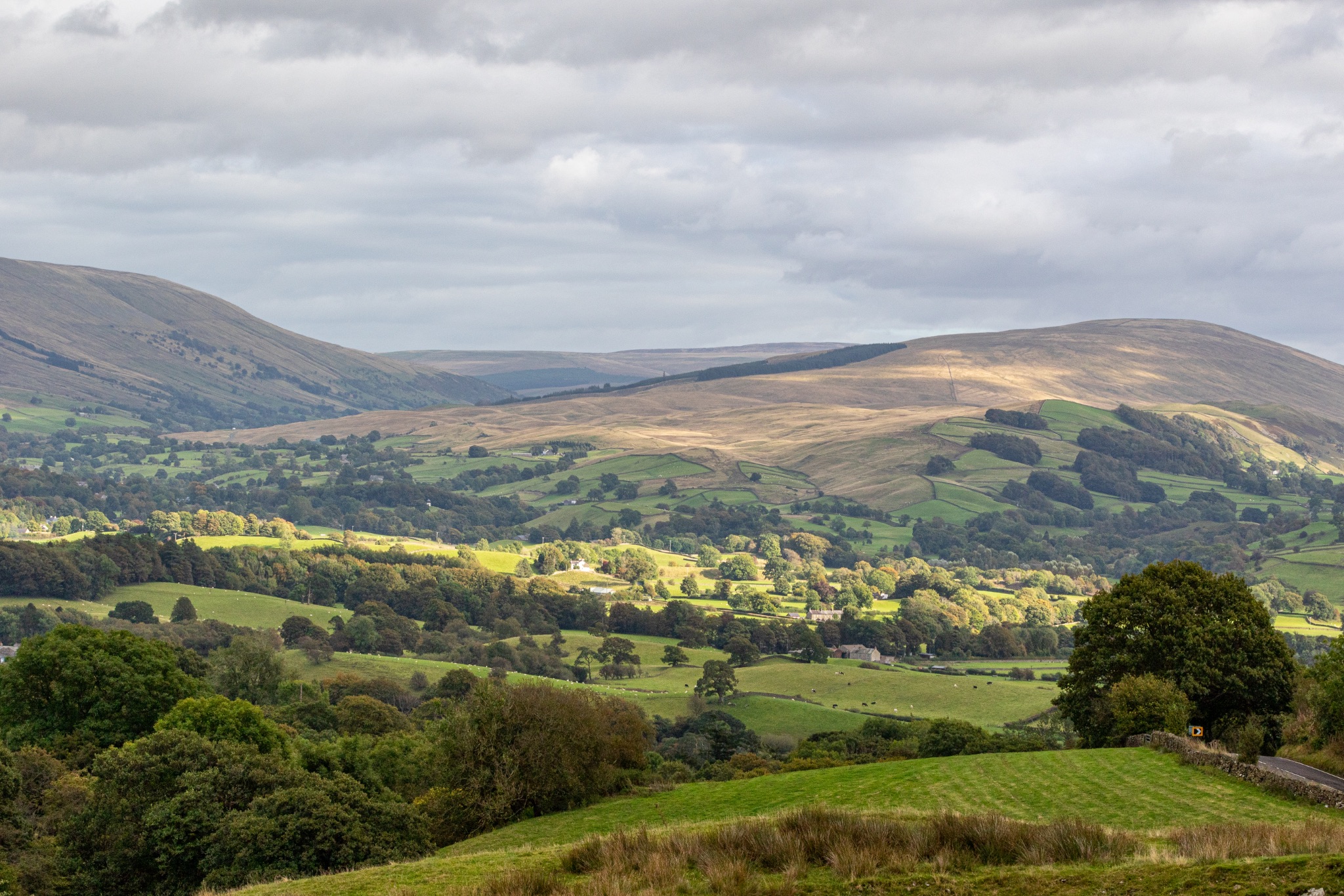 Scenic view of rolling hills with lush greenery under a cloudy sky, showcasing the tranquil beauty of a rural landscape.