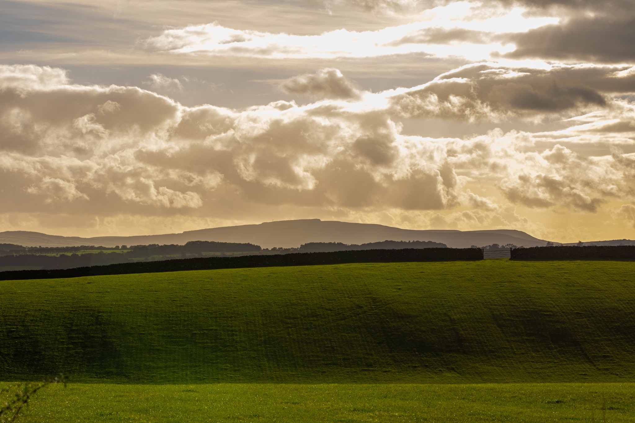Rolling green hills with shadows under a cloudy sky at sunset.