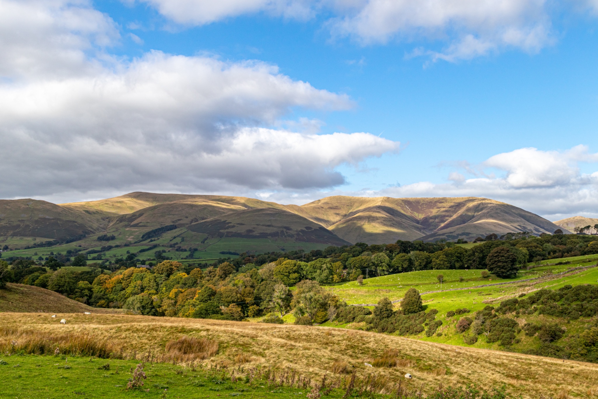 Scenic view of rolling hills with lush greenery under a blue sky with fluffy clouds.