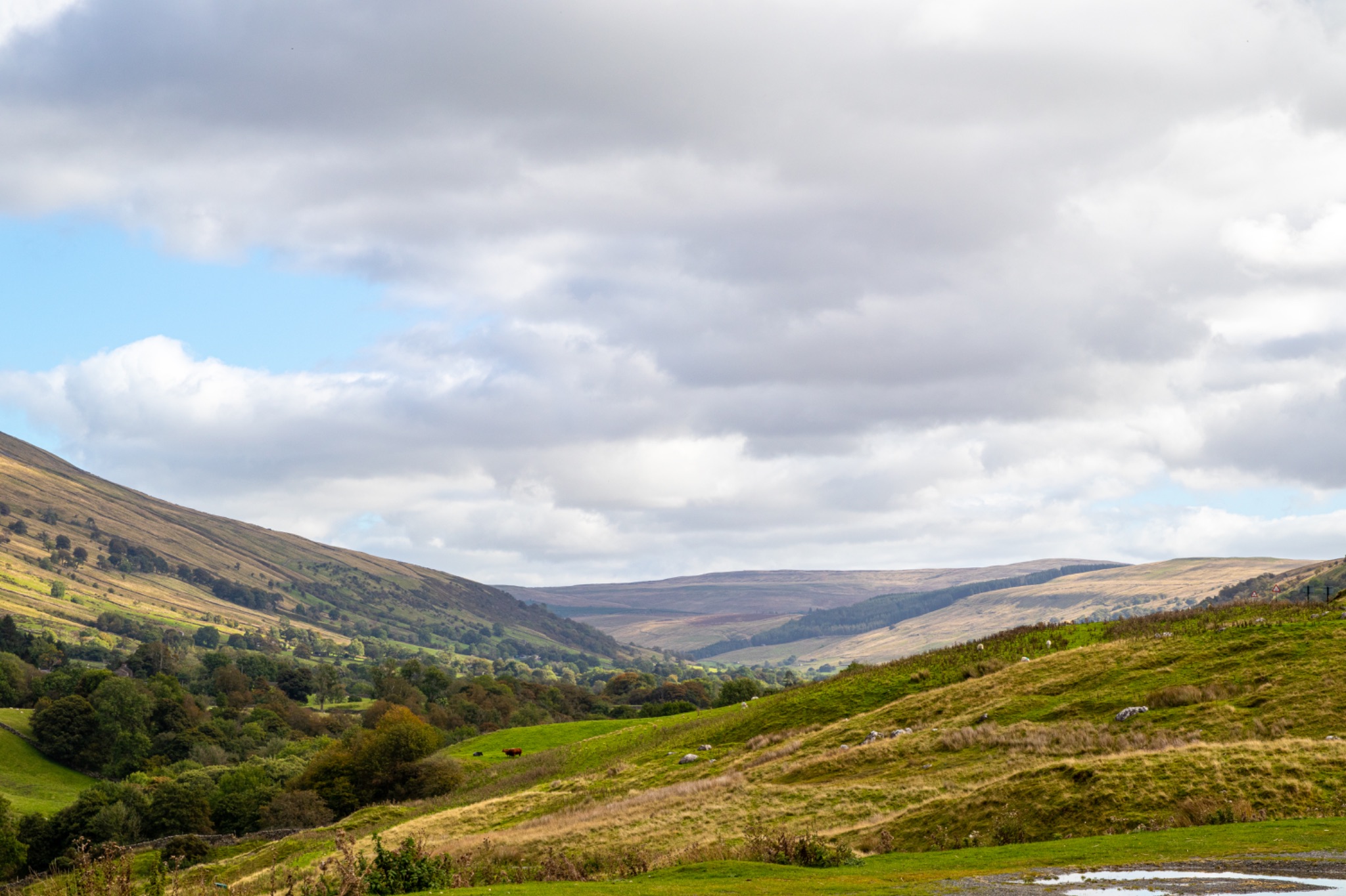 Rolling hills under a cloudy sky in a serene valley landscape.
