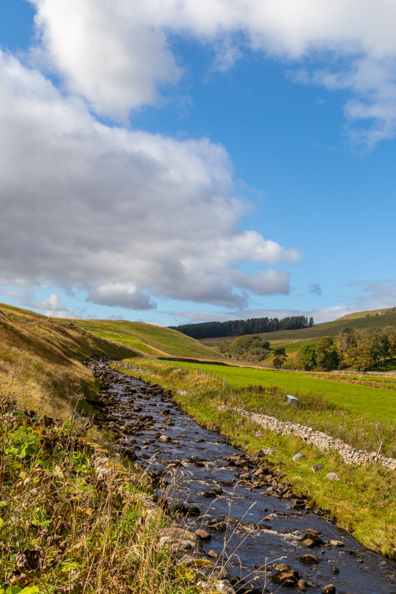 Scenic view of a stream flowing through a lush green valley under a blue sky with clouds.