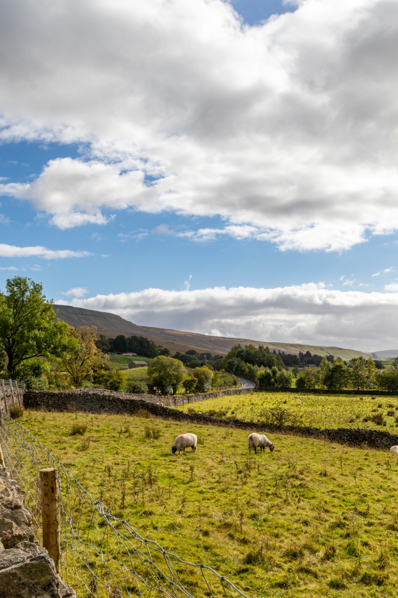 Landscape photo in Yorkshire