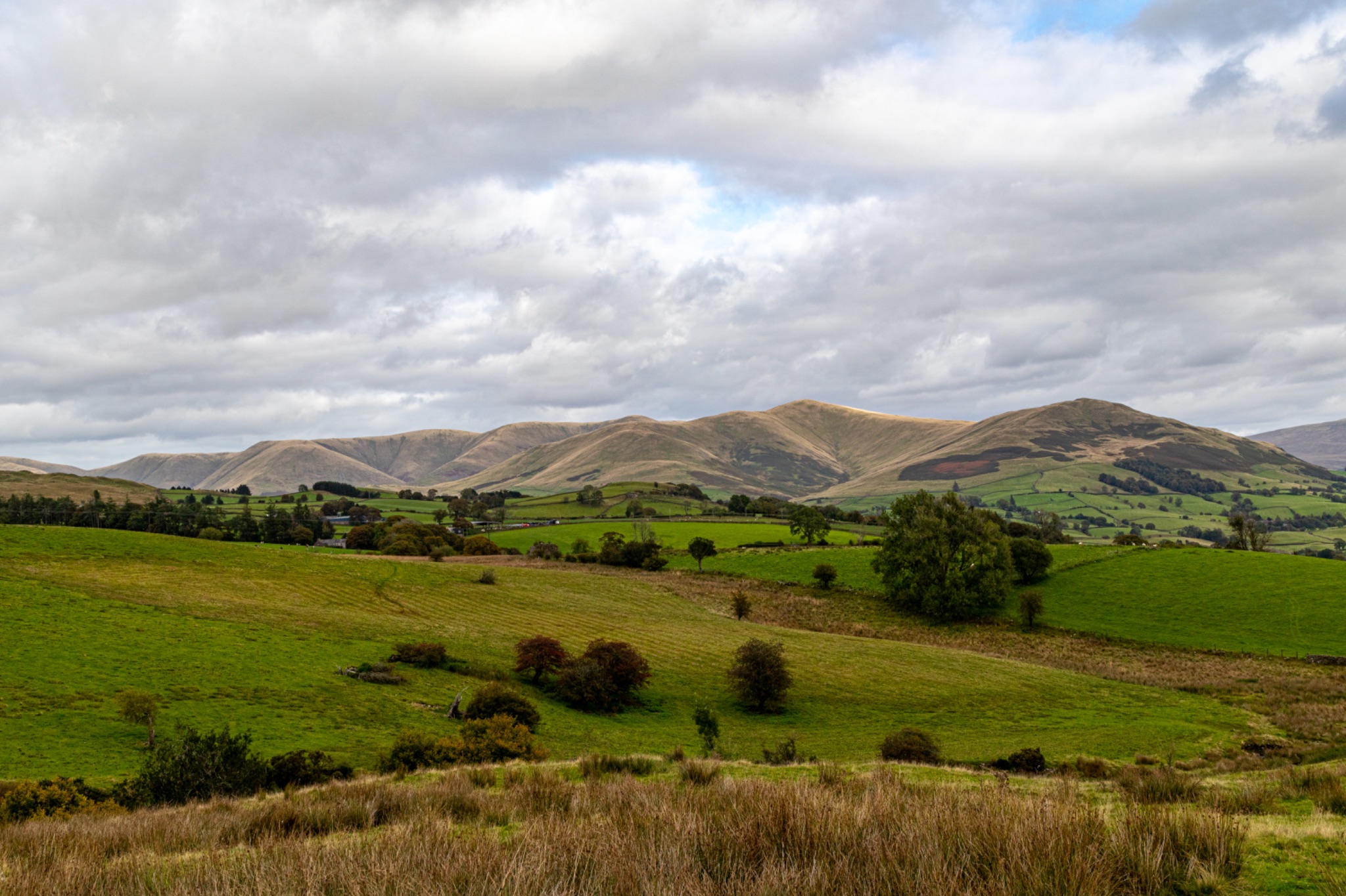 Rolling green hills under a cloudy sky, with lush meadows in the foreground. Ideal for landscape and nature themes.