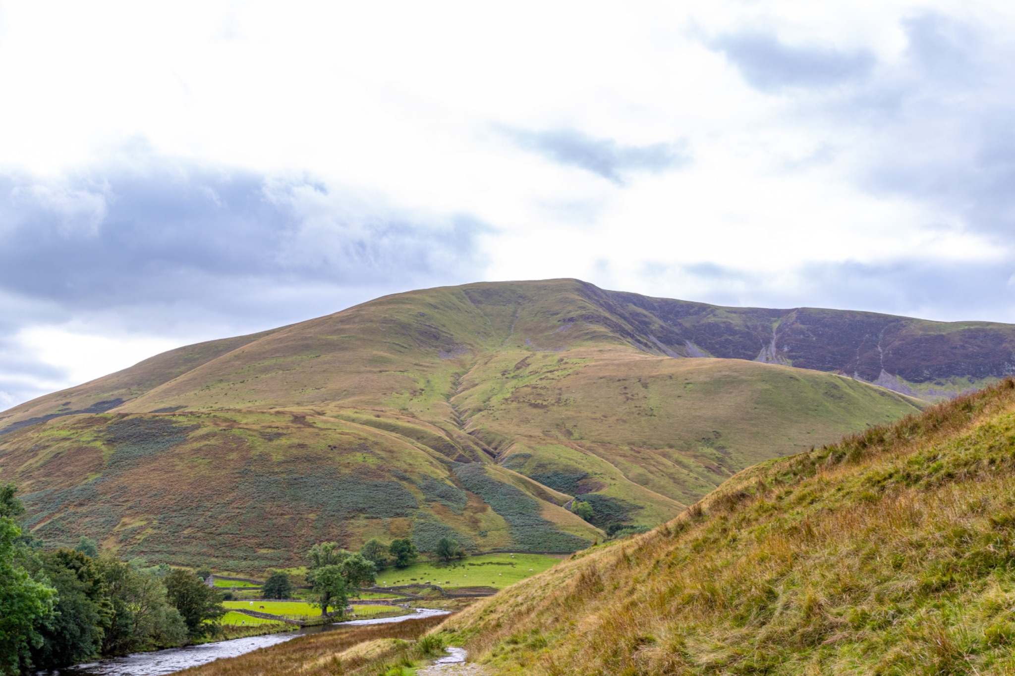 Scenic view of rolling hills with a meandering river under a cloudy sky.