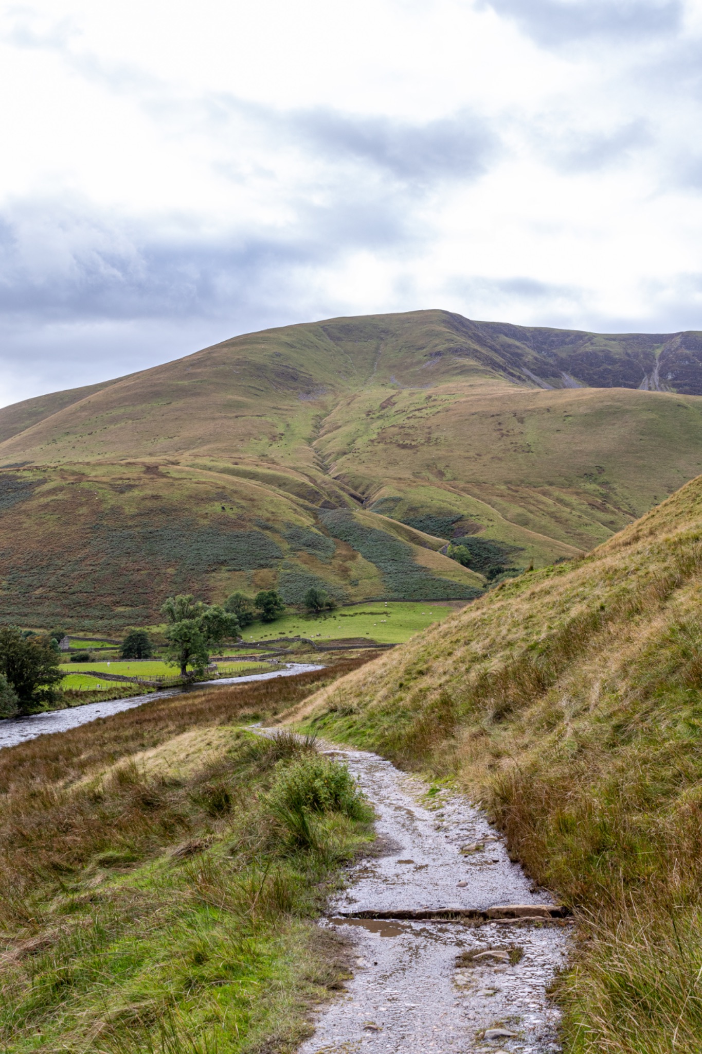Scenic view of a winding path leading through lush green hills with a river and overcast sky.