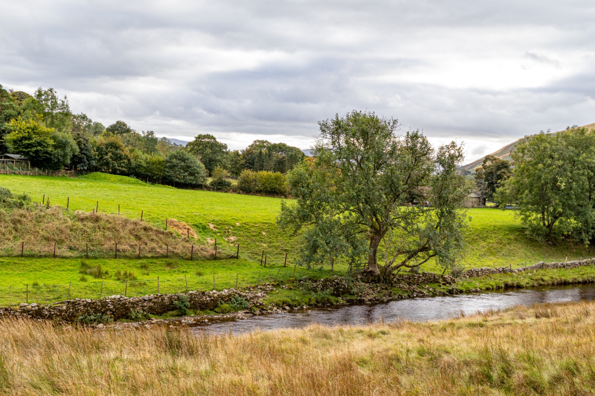 Serene countryside landscape with lush green fields, a meandering stream, and an overcast sky.