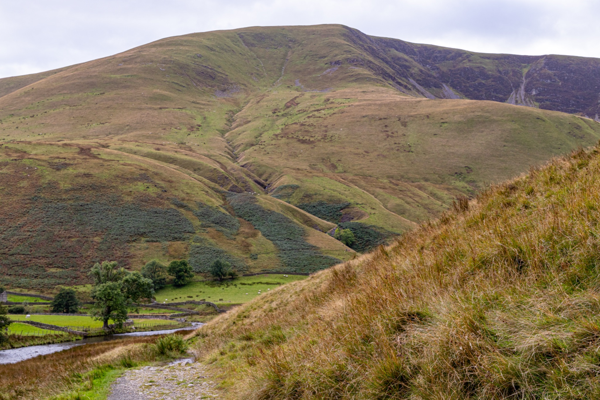 Rolling green hills with a meandering stream, under a cloudy sky, in a tranquil rural landscape.