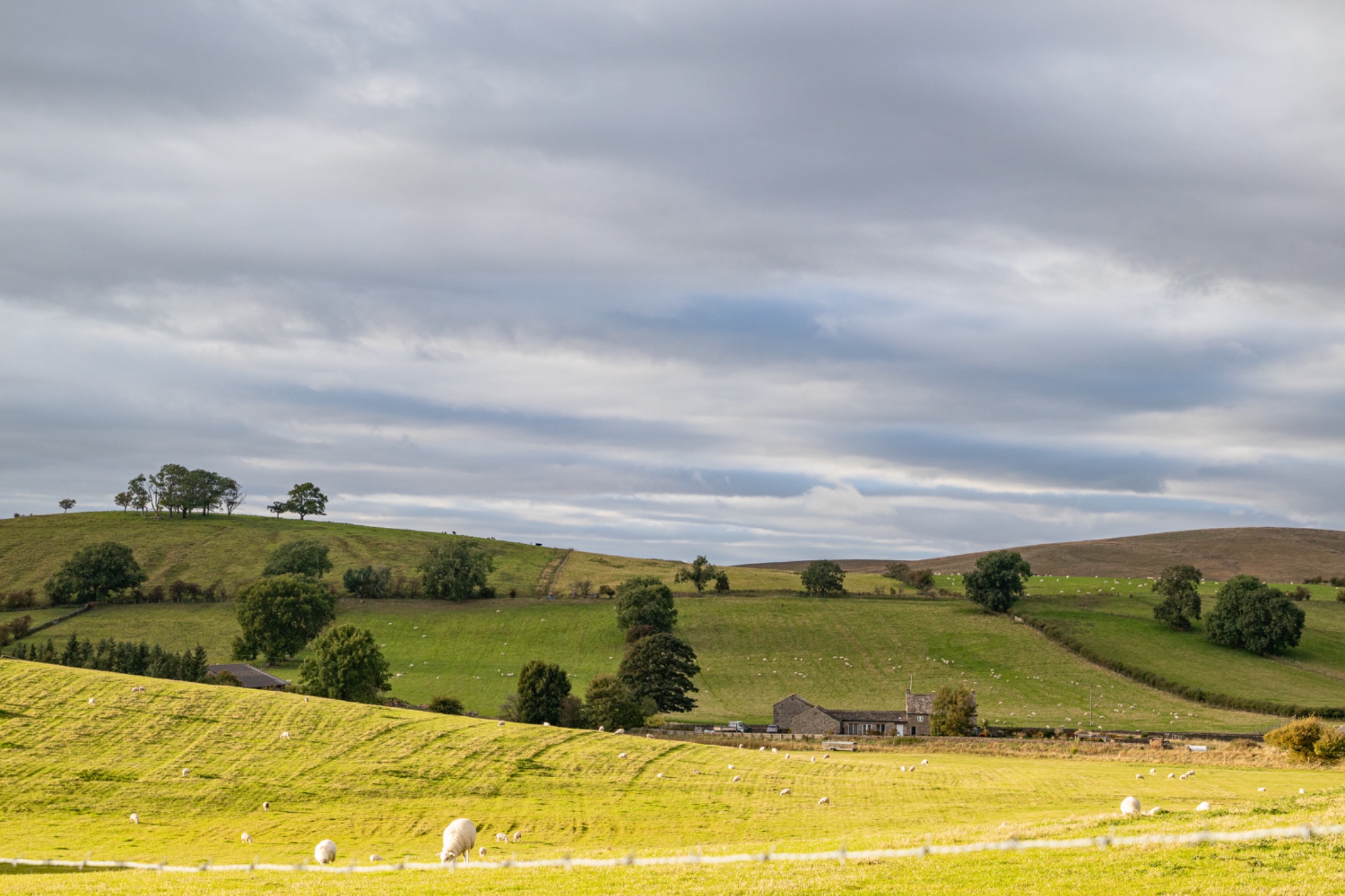 Rolling hills with green fields, scattered trees, and a farmhouse under a cloudy sky.