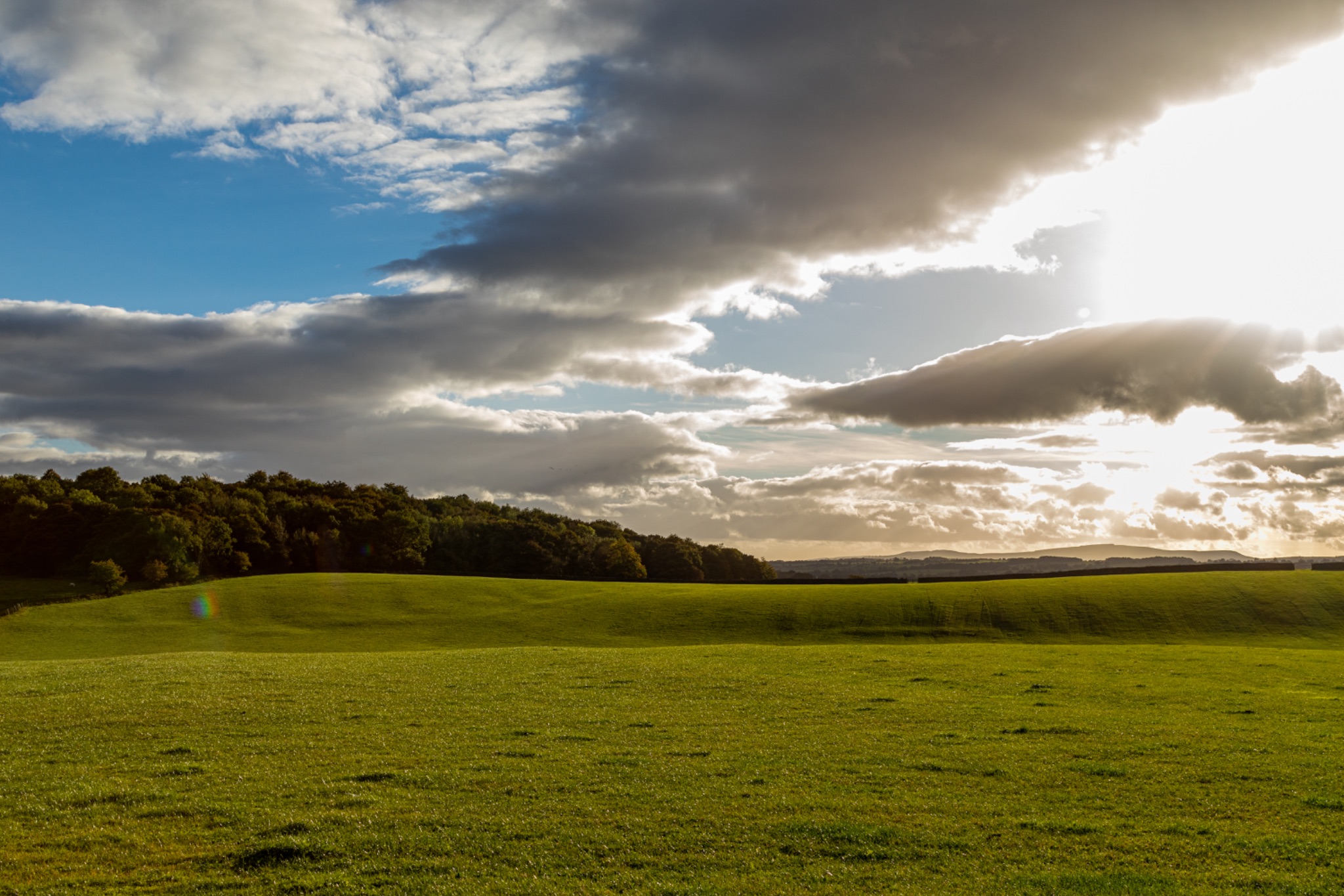 Sunny meadow with dramatic clouds over a lush green hillside