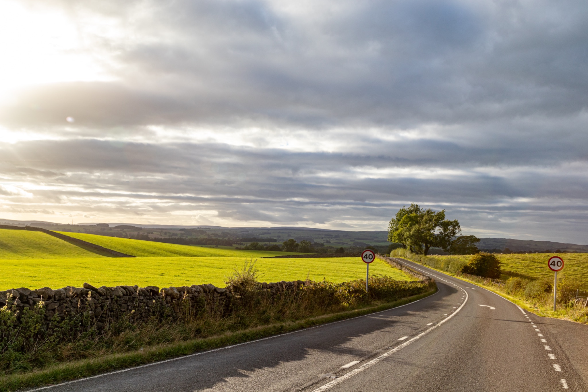 Empty country road with vibrant yellow fields under a cloudy sky at sunset.