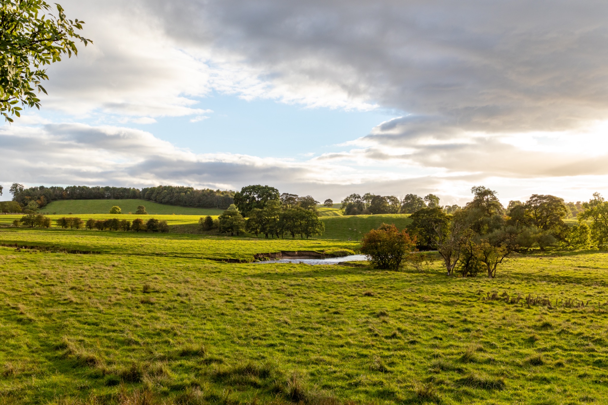 Idyllic countryside landscape with lush green fields, trees, and a small pond under a cloudy sky.