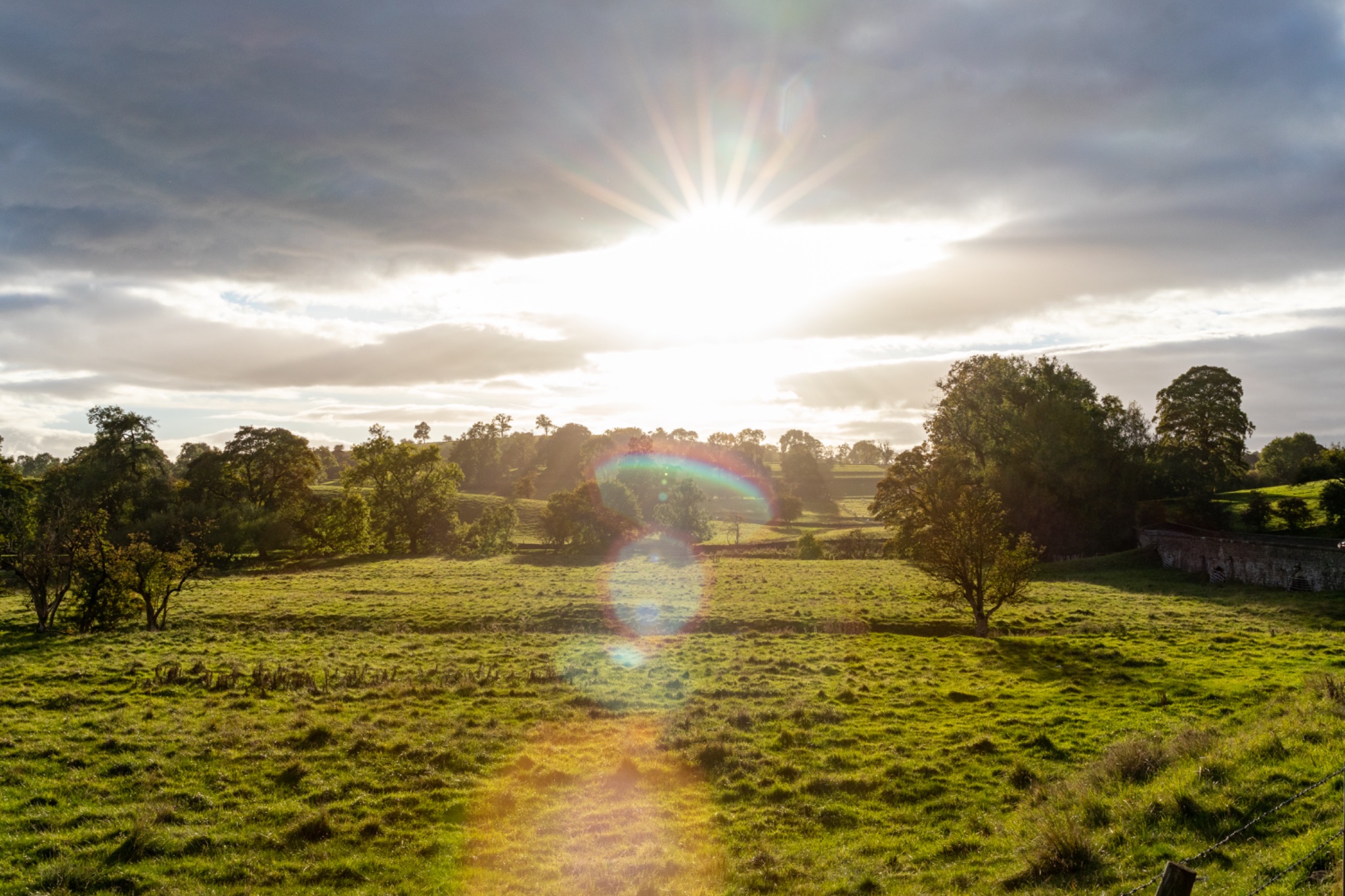 Sunrise over a lush green field with trees and a clear sky, light rays creating a lens flare effect.