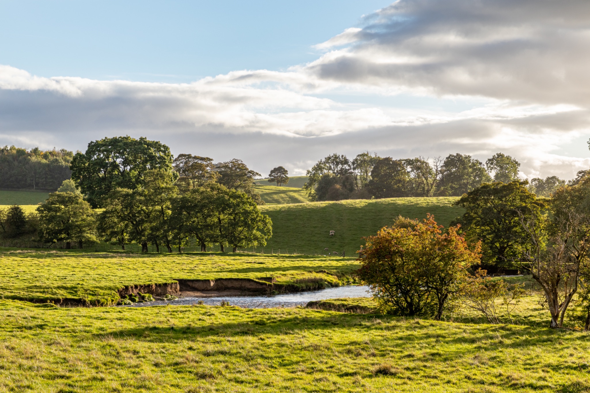 Idyllic countryside landscape with lush green fields, a serene pond, and a wooden bridge under a sunny sky with scattered clouds.