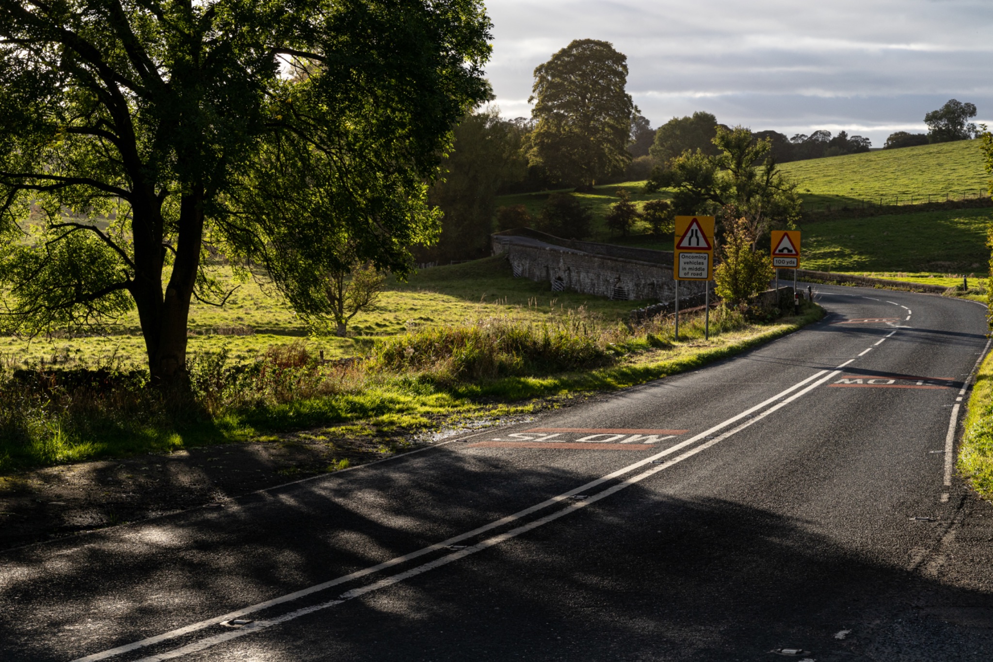 Rural road winding through a lush landscape with trees casting shadows in the golden light of early morning or late afternoon.