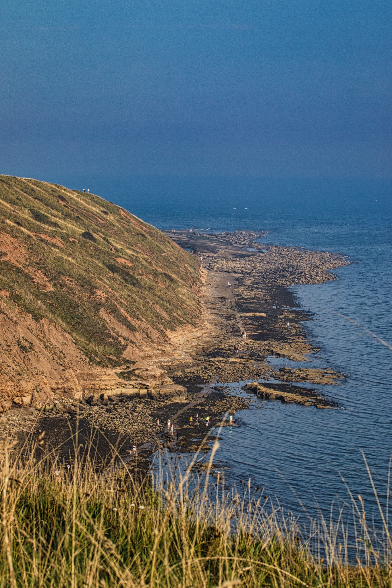 Coastal landscape with grassy hillside and rocky shoreline under a clear blue sky in Filey, England.