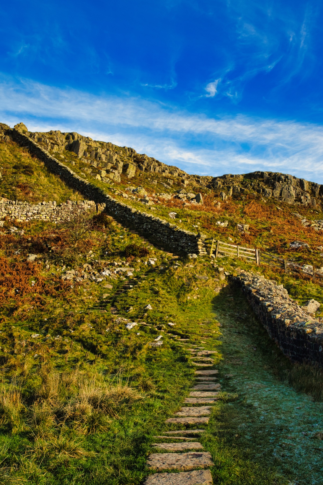 Stone pathway leading through lush greenery with a clear blue sky overhead at Sycamore Gap, Northumberland, UK.