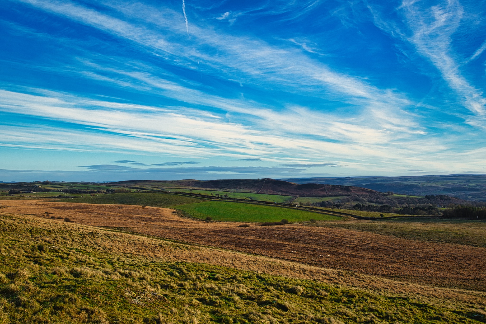 Scenic landscape with vibrant blue sky and wispy clouds over rolling hills and green fields at Sycamore Gap, Northumberland, UK.