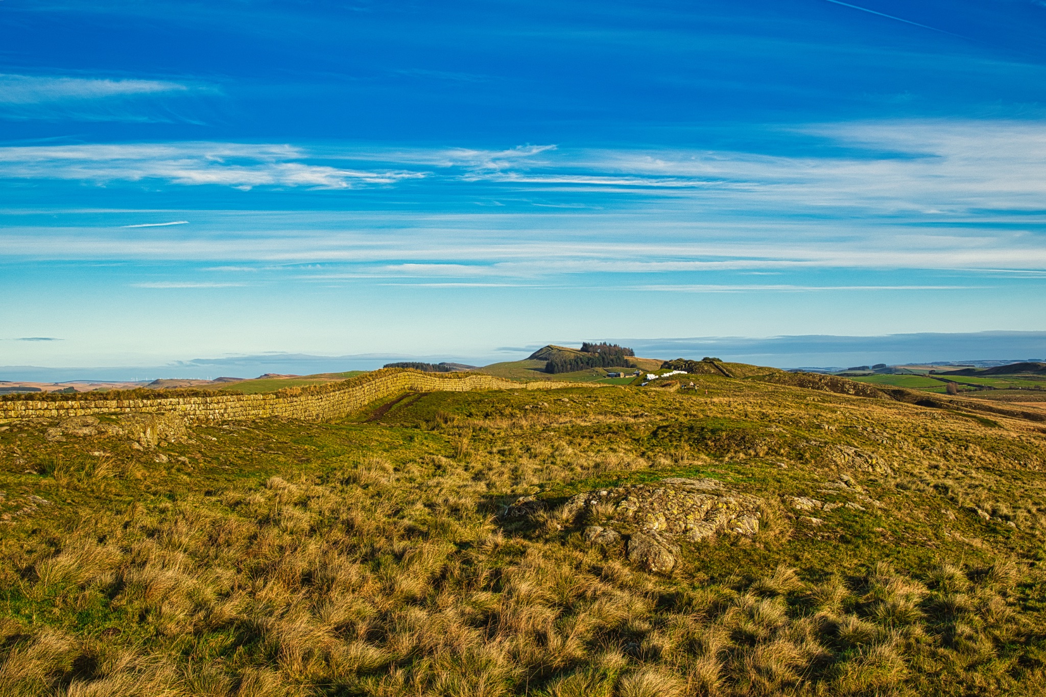 Rolling hills with lush greenery under a clear blue sky, ideal for landscape and nature themes at Sycamore Gap, Northumberland, UK.