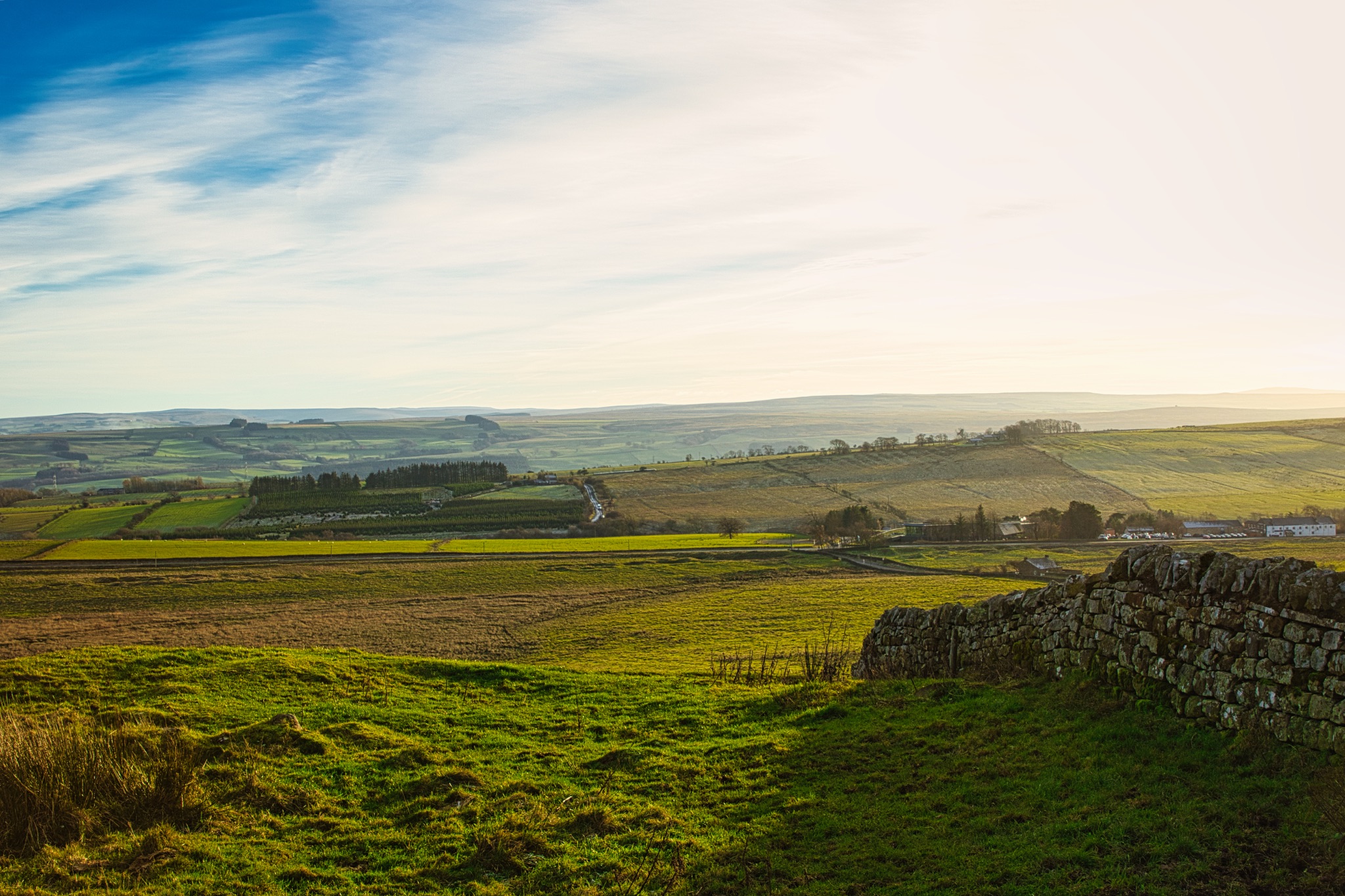 Scenic countryside landscape with dry stone wall, green fields, and a hazy sky at sunrise at Sycamore Gap, Northumberland, UK.