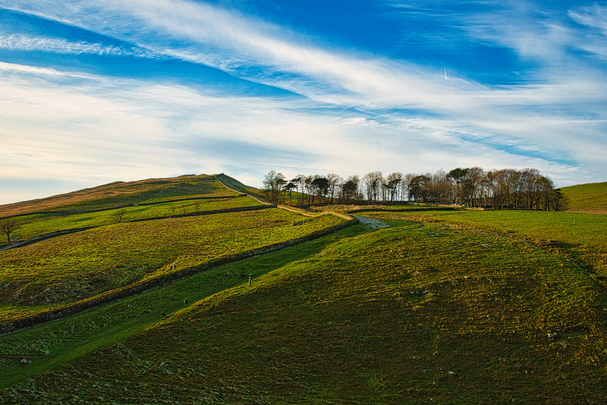 Rolling green hills with a line of trees under a blue sky with wispy clouds at Sycamore Gap, Northumberland, UK.