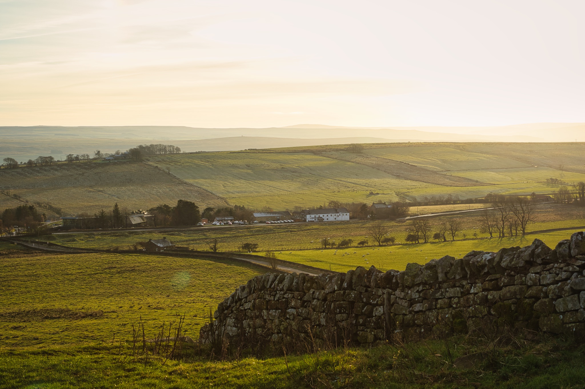 Tranquil countryside landscape at sunrise with rolling hills, stone wall, and warm light at Sycamore Gap, Northumberland, UK.