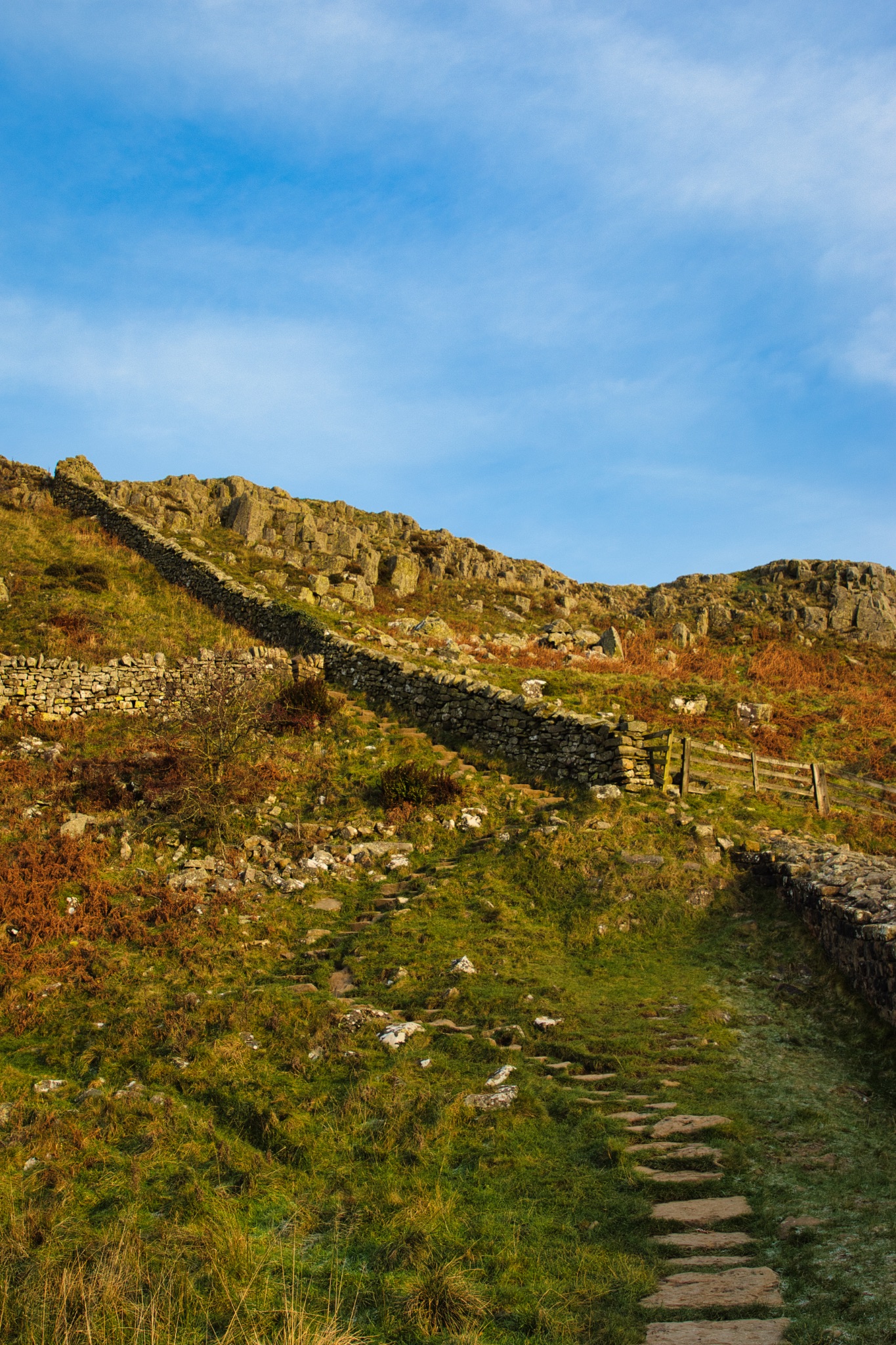Stone path leading up a hill with lush greenery under a clear blue sky at Sycamore Gap, Northumberland, UK.