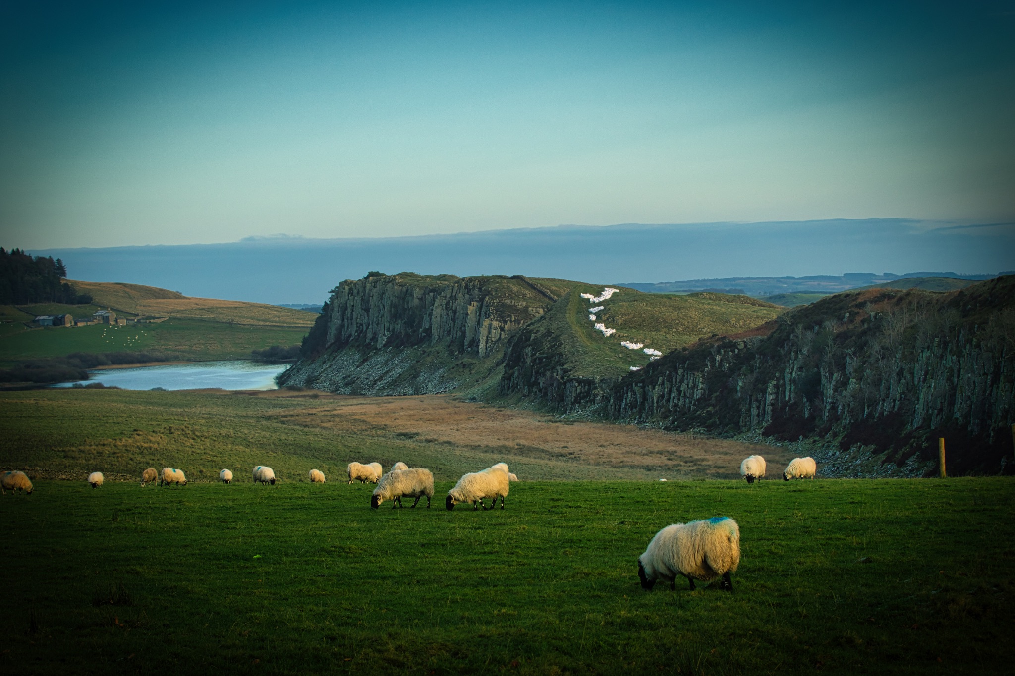 Serene landscape with sheep grazing on green fields, rocky cliffs, and a distant water stream under a soft blue sky at Sycamore Gap, Northumberland, UK.
