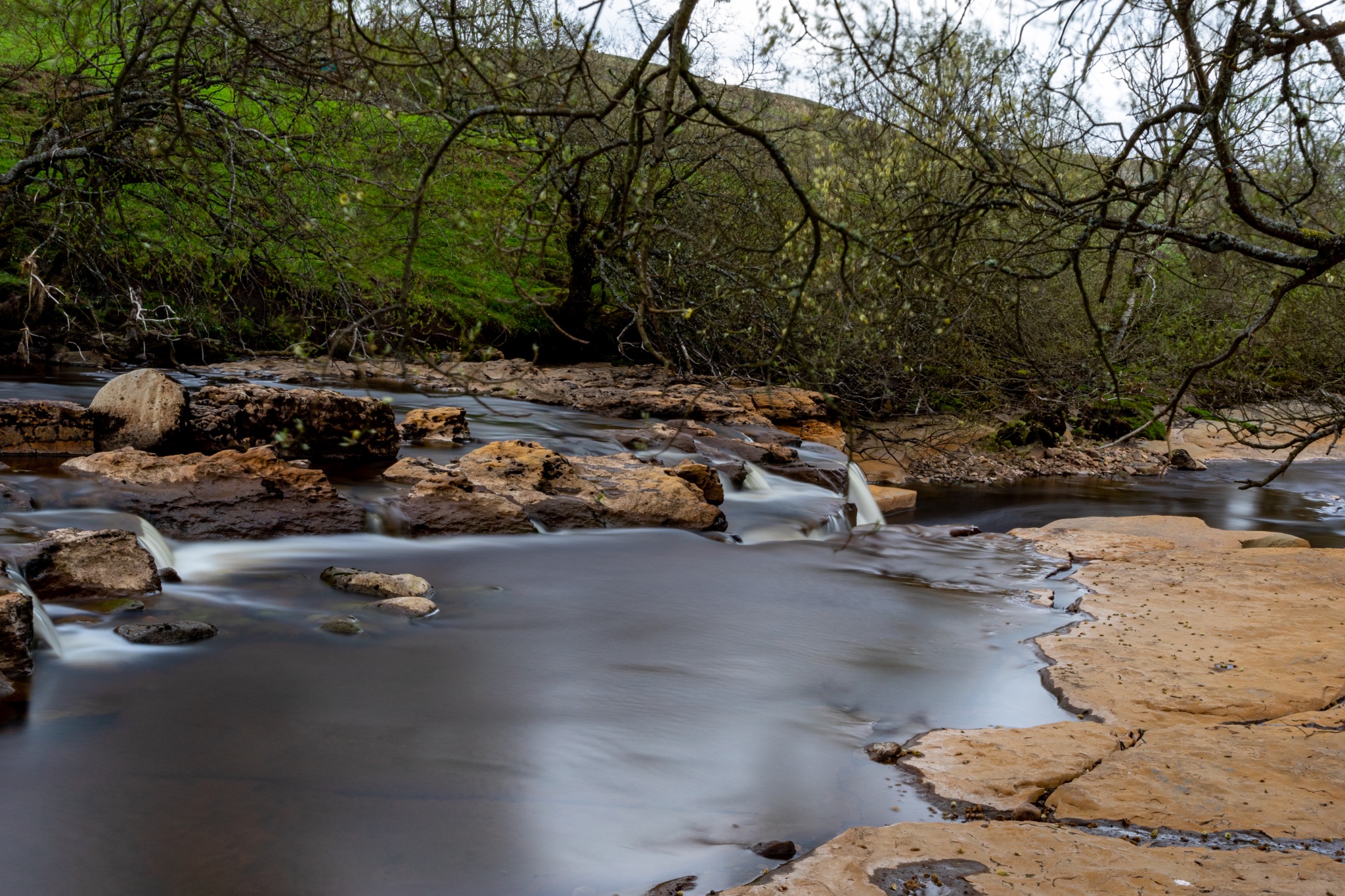 Serene stream with smooth water flowing over rocks, surrounded by lush greenery and trees in a tranquil forest setting.