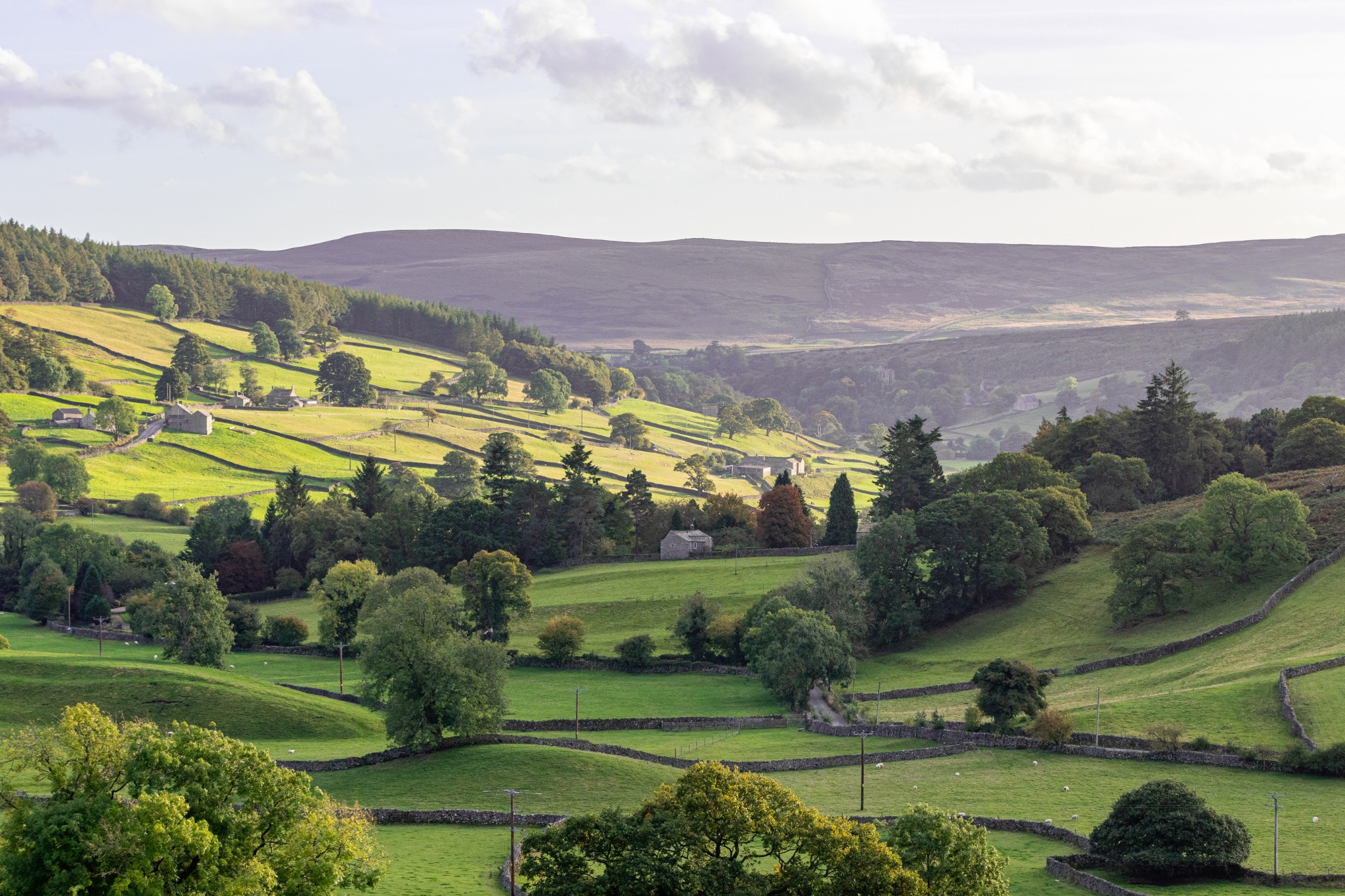 Rolling green hills with patchwork fields under a soft sky, showcasing rural beauty and tranquil landscapes.