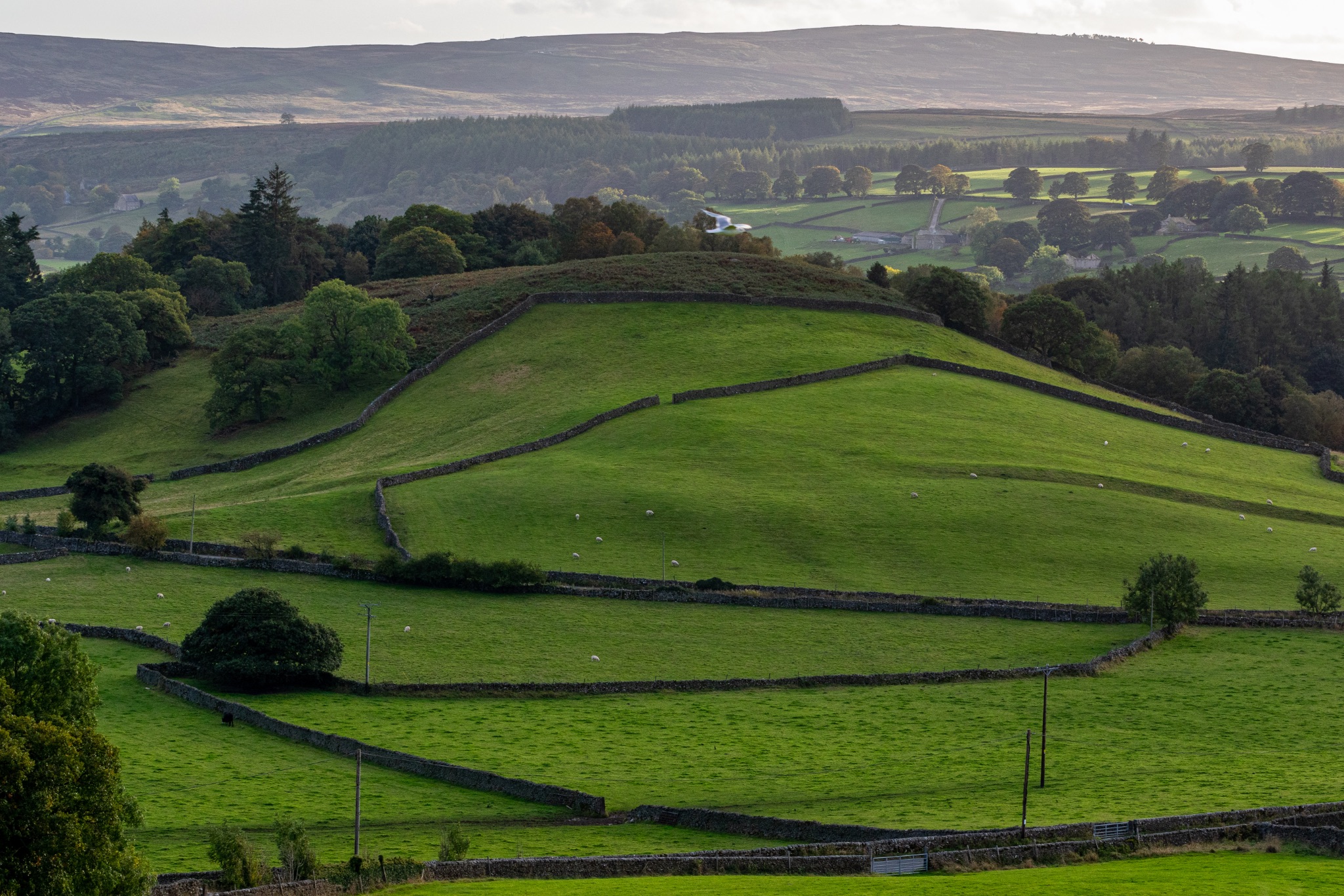 Rolling green hills with farmland and trees under a hazy sky.