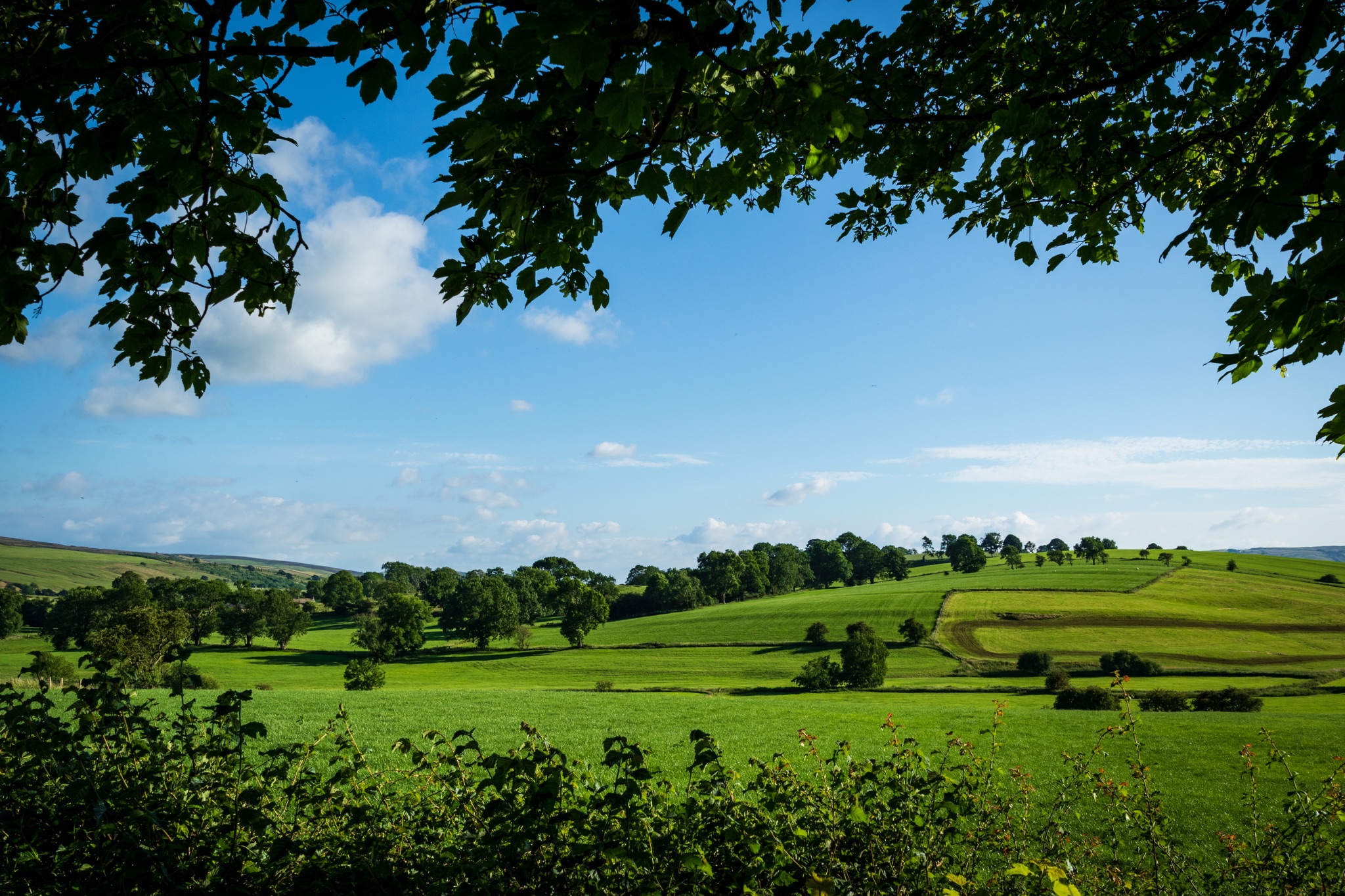 Landscape photo of hills in yorkshire dales